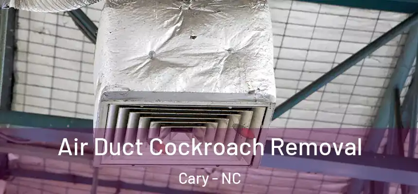 Air Duct Cockroach Removal Cary - NC