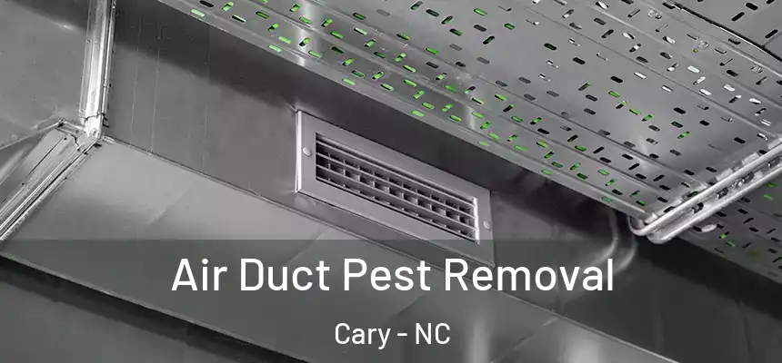 Air Duct Pest Removal Cary - NC