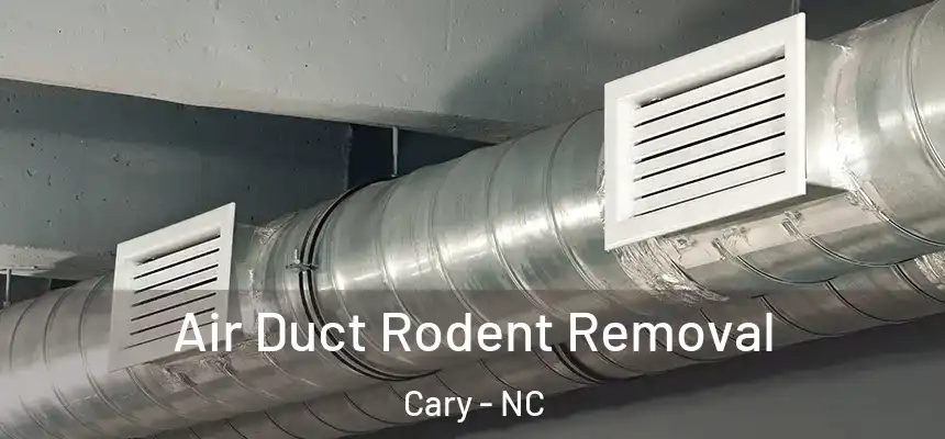 Air Duct Rodent Removal Cary - NC