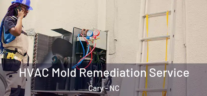 HVAC Mold Remediation Service Cary - NC