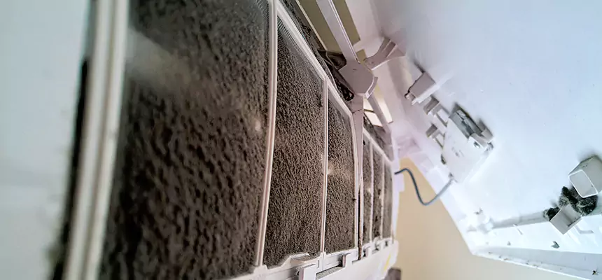 Preventive Air Duct Bacteria Removal in Cary