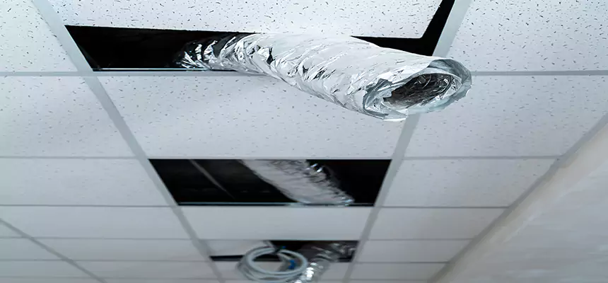 Affordable HVAC Sanitizing After Pest Removal in Cary