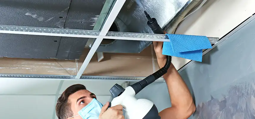 Our Air Duct Rodent Removal Services in Cary, NC