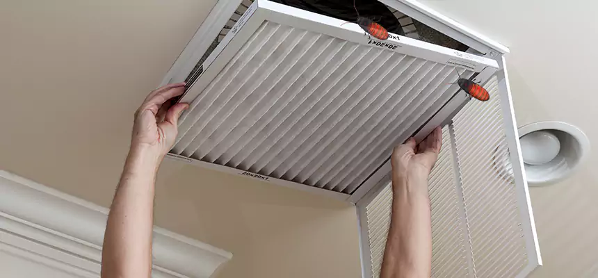 Our Insect Removal from Air Ducts Services in Cary, NC