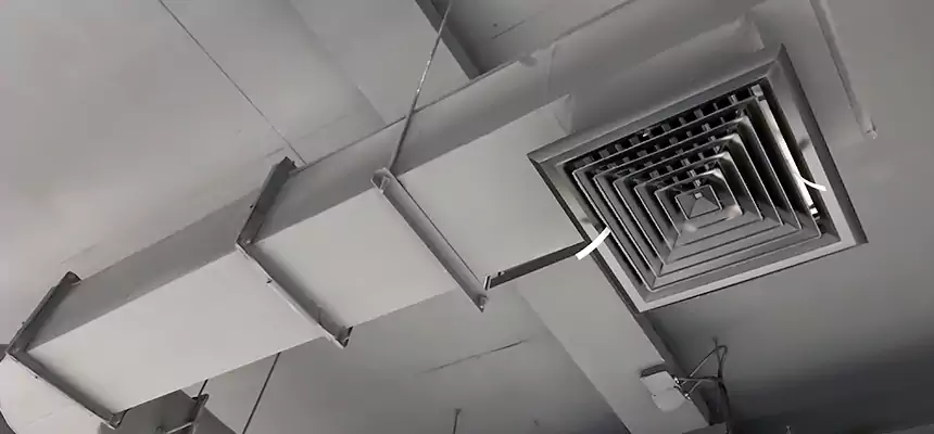 Our Pest Removal From Ducts Services in Cary, NC