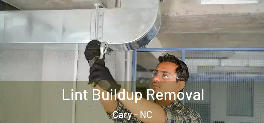 Lint Buildup Removal Cary - NC