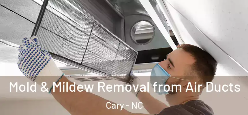  Mold & Mildew Removal from Air Ducts Cary - NC