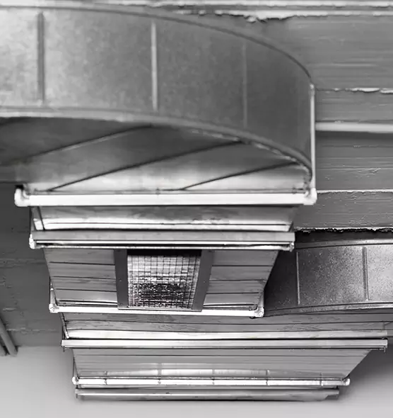 Professional Air Duct Pest Removal in Cary, NC