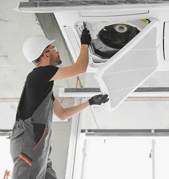 About Air Duct Rodent Removal in Cary, NC