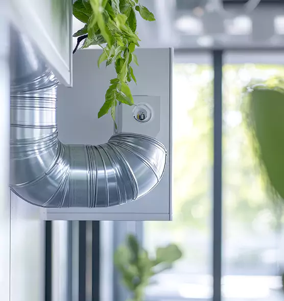 Professional Eco-Safe Dryer Vent Cleaning in Cary, NC