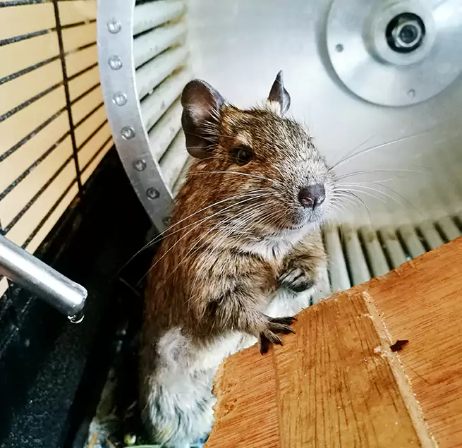 Why Homeowners & Businesses Trust Us Cary, NC?