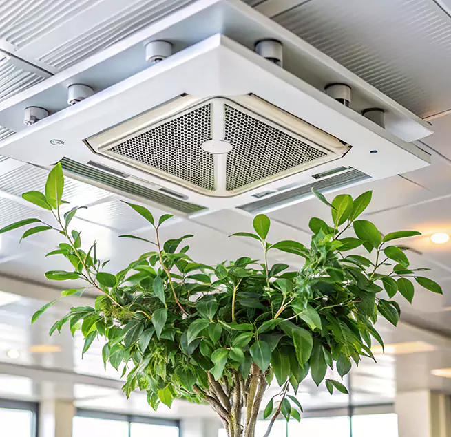 Why Homeowners & Businesses Trust Us in Cary, NC?