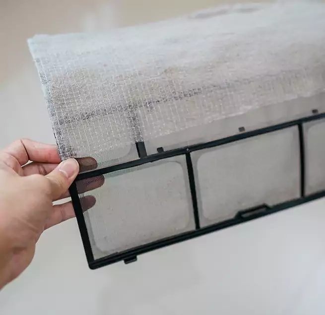 Why Homeowners & Businesses Trust Us in Cary, NC?