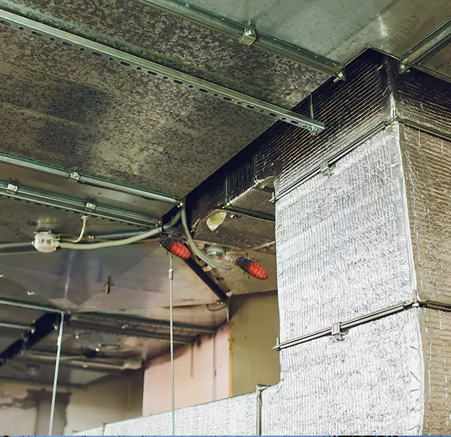 Why Homeowners & Businesses Trust Us Cary, NC?