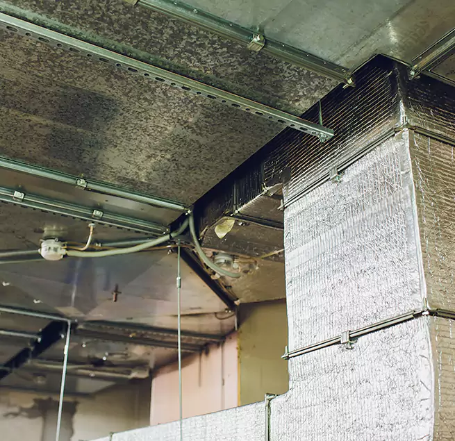 Why Homeowners & Businesses Trust Us in Cary, NC?