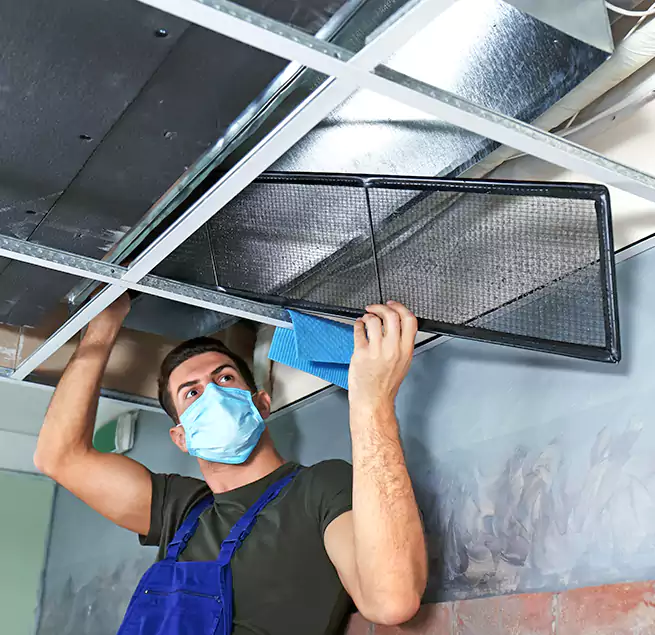 Why Homeowners Businesses Trust Us in Cary, NC