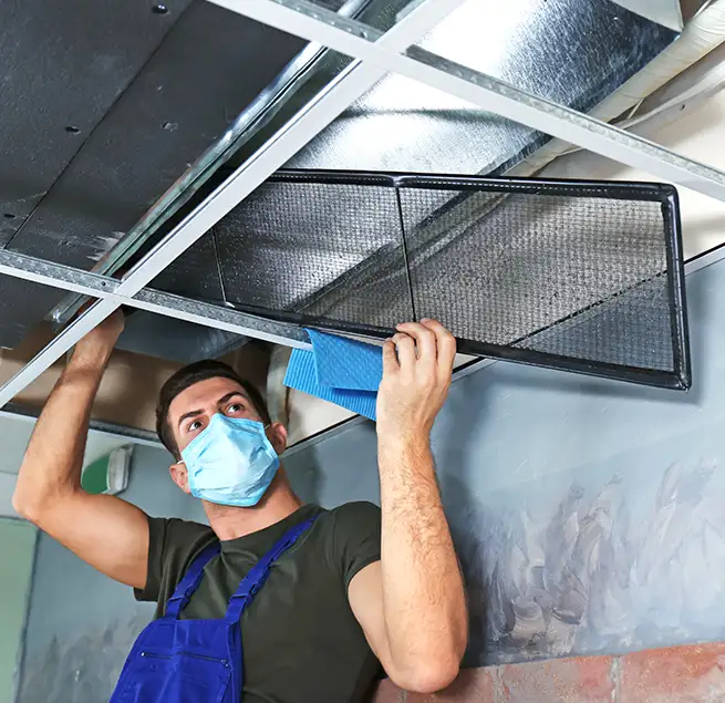 Why Homeowners & Businesses Trust Us in Cary, NC?