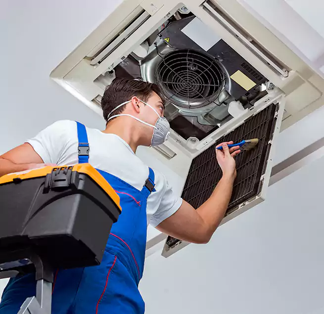 Why Homeowners & Businesses Trust Us in Cary, NC?