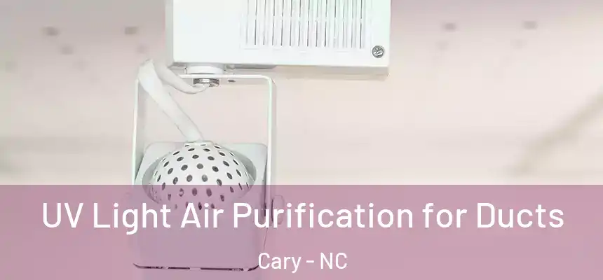 UV Light Air Purification for Ducts Cary - NC